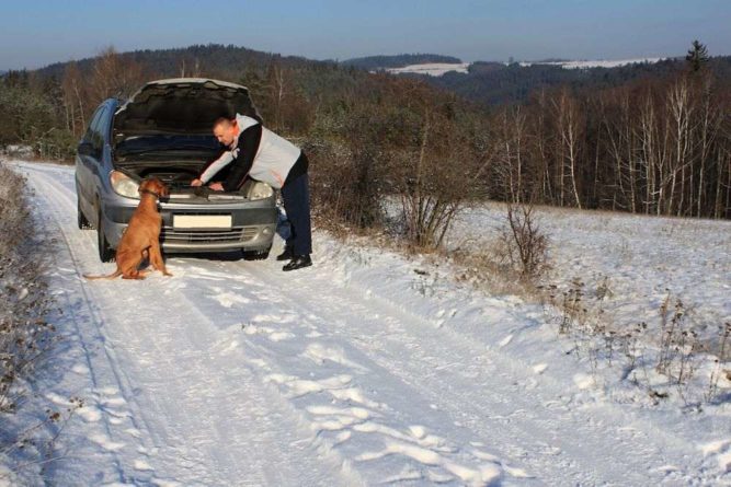 Openbay Man Dog in Snow