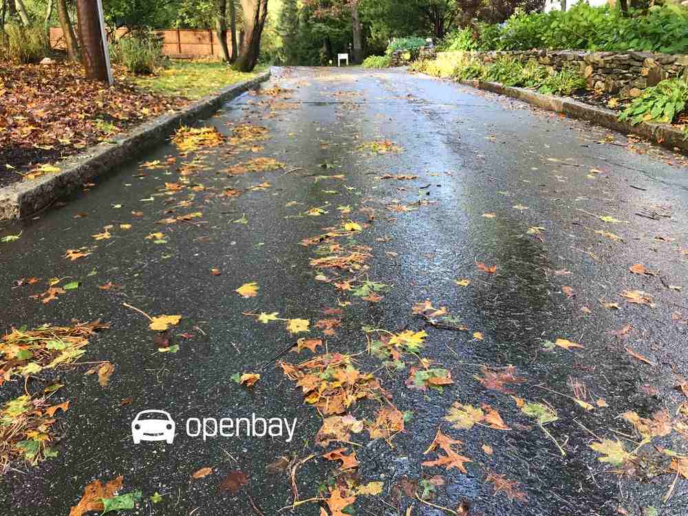 Openbay Leaves on Road