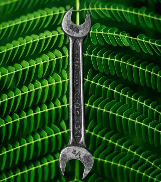 Openbay Wrench on Green Leaves